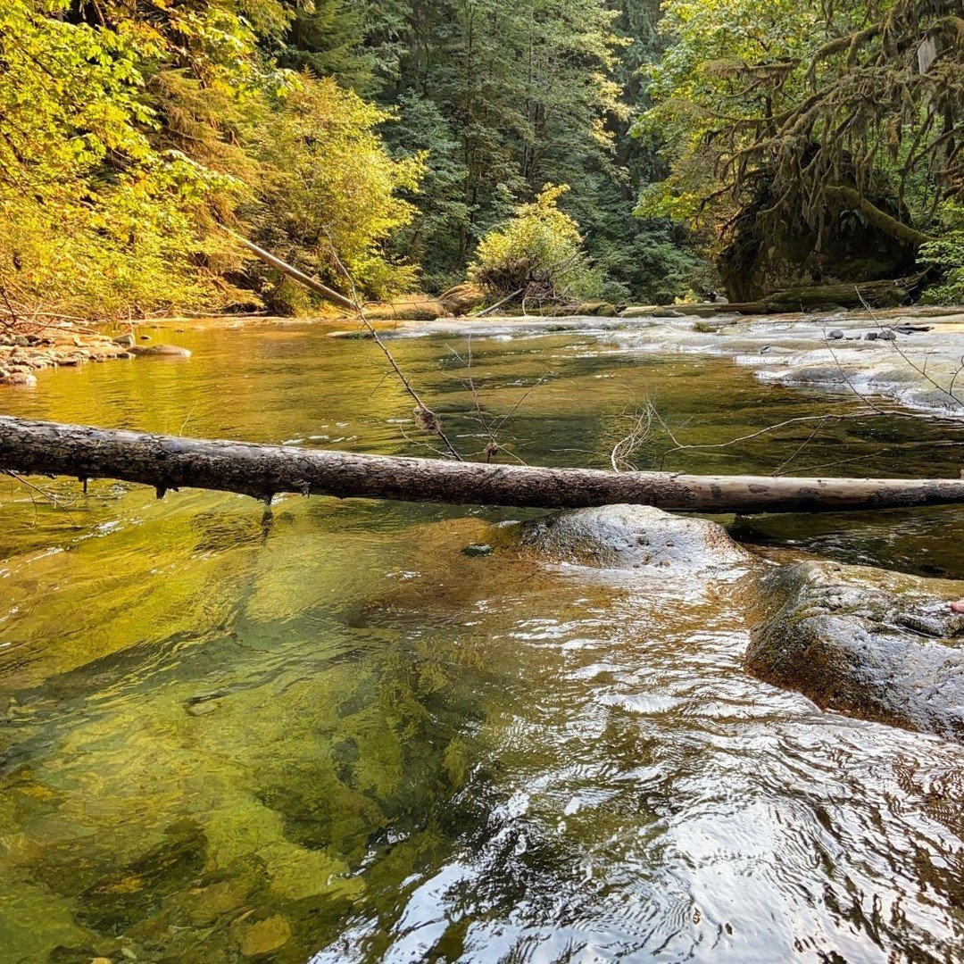 It's always nice to pause at the end of the year and reflect on how far we've come. Take a look at this year's Annual Report to see our highlights and tell us in the comments below what you loved about the South Santiam this year. Link to the report is in our bio and on our website. Happy New Year!