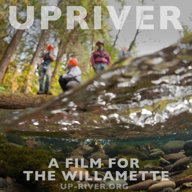 We are so excited to be hosting a screening of Freshwater Illustrated's fantastic film UPRIVER! Come join us at Barsideous Brewing on Thursday, February 23 at 6pm. Film starts at 6:30 and we'll have time for Q&A with the folks from Freshwaters Illustrated after! This film celebrates ordinary people coming together to protect and restore the Willamette River and its tributaries. Check out our bio for a link to the trailer.This is a free event, and Barsideous has great beer and food available for purchase. We can't wait to see you!#freshwatersillustrated #barsideousbrewing #wemayfly #watershedcouncil #lebanonoregon #sweethomeoregon #sciooregon