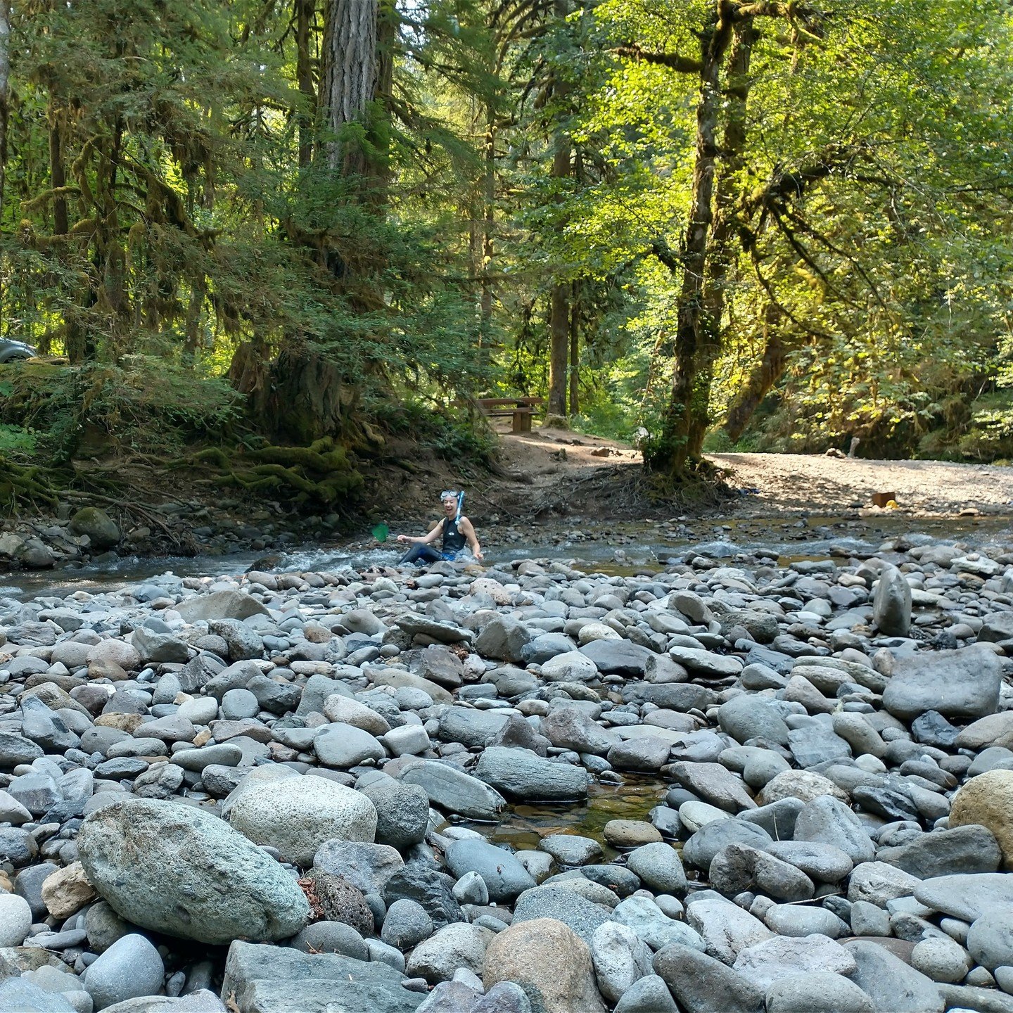 We're hiring!! The South Santiam Watershed Council is hiring for two positions. Our Outdoor School Lead is a limited duration position that serves as the point person for our 3-day, 2-night experiential education program for 6th graders. Our Wildfire Adapted Communities Specialist is a community-building wildfire recovery and resilience position that will work in both the North and South Santiam basins. More information, including full position announcements are available on our webiste now, and are linked in the bio.We hope you'll take the plunge and join us!