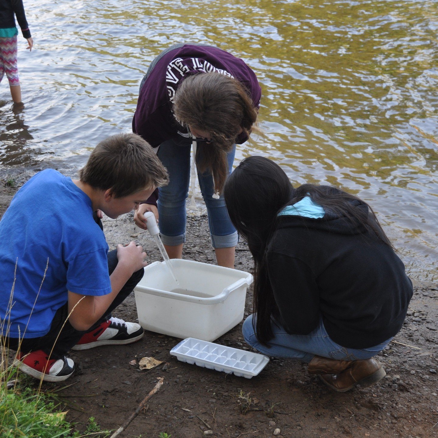 Do you enjoy working with young people and have a penchant for environmental education? If so, read on! The South Santiam Watershed Council is hiring for a part-time, permanent Watershed Education Coordinator and we want to hear from you! Please visit our website for a complete position description, including how to apply. Link is in our bio, or visit sswc.org. #southsantiam #southsantiamwatershedcouncil#nokidleftinside #environmentaleducation #sweethomeoregon #lebanonoregon #albanyoregon #corvallisoregon caption: three 5th grade students peer into a white tub next to an ice cube tray. All are next to water on a sandy bank.