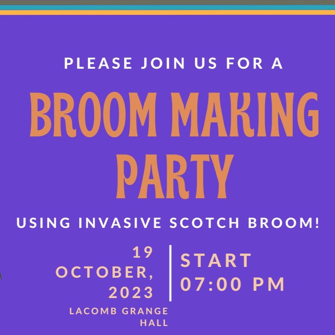 Itching to add a touch of whimsy to your Halloween season? Join us in diving into the traditional uses of Scotch broom by making brooms out of its stems and shoots! We’ll learn about the history of Scotch Broom in Oregon and enjoy some tasty halloween-themed treats while crafting together! Everyone is welcome to join no matter their skill level, and sign up is free. Fun costumes are encouraged, but not required! We hope to see you there :) You can RSVP at the link in our bio! #southsantiamwatershedcouncil #southsantiam #lebanonoregon #sweethomeoregon #sciooregon #staytonoregon #millcityoregon #lyonsoregon #scotchbroom #broomsweepabroom