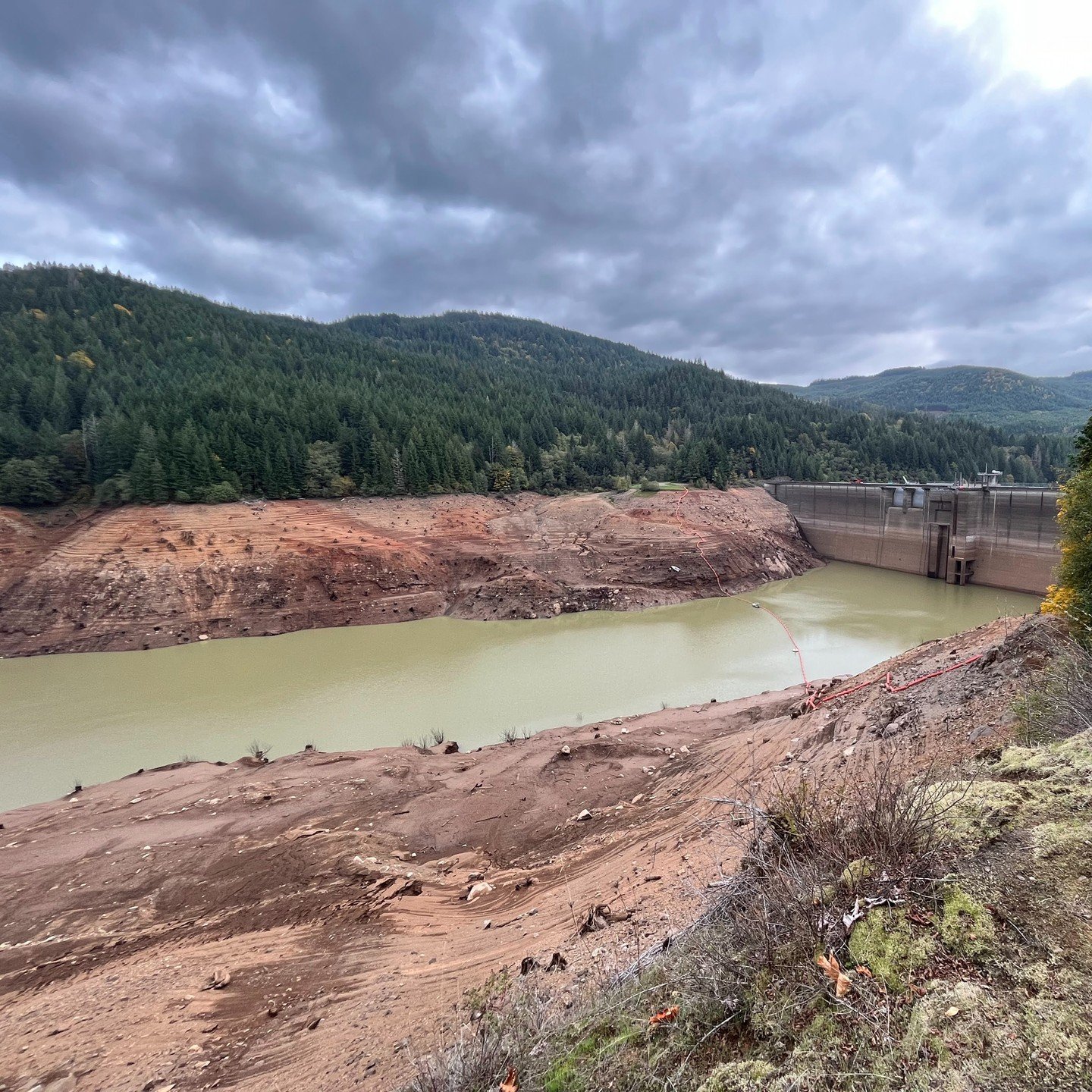 Over the last few months, many of us have noticed that both Foster Reservoir and the mainstem South Santiam River have been moving a lot of sediment, flowing brown and muddy. Some of us have seen dead and dying fish, or have noticed other impacts from the drawdown at Green Peter Reservoir. By now, most folks know that the US Army Corps is responding to a court order to draw down Green Peter. This is intended to provide downstream passage for young, federally-protected Chinook and steelhead. But folks also want to know what the impacts mean for other species, for drinking water, and for the wellbeing of the larger watershed. Please join us on Thursday, November 30, for a community gathering at the Lebanon Senior Center to learn more, ask questions, and be in conversation with staff from the Army Corps. Doors open at 6:30, and there will be a short talk at 7, followed by time for Q&A. #lebanonoregon #sweethomeoregon #southsantiamriver #southsantiamwatershedcouncil #linncountyoregon