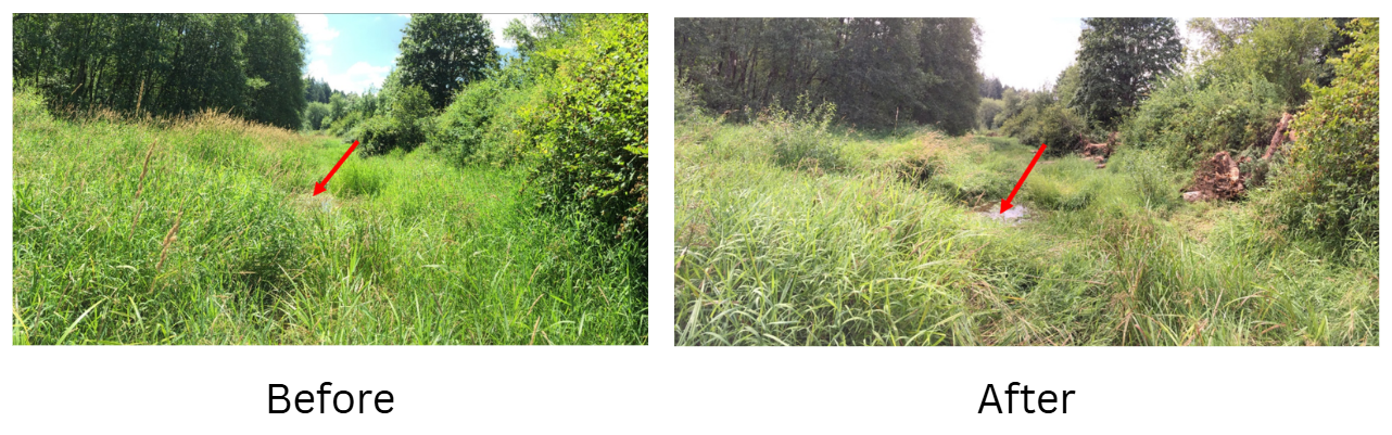 ThomasCreekBefore.After ThomasCreekBefore.After