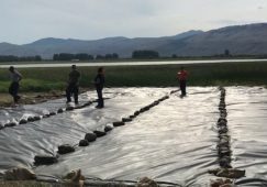 Several people standing on a benthic barier